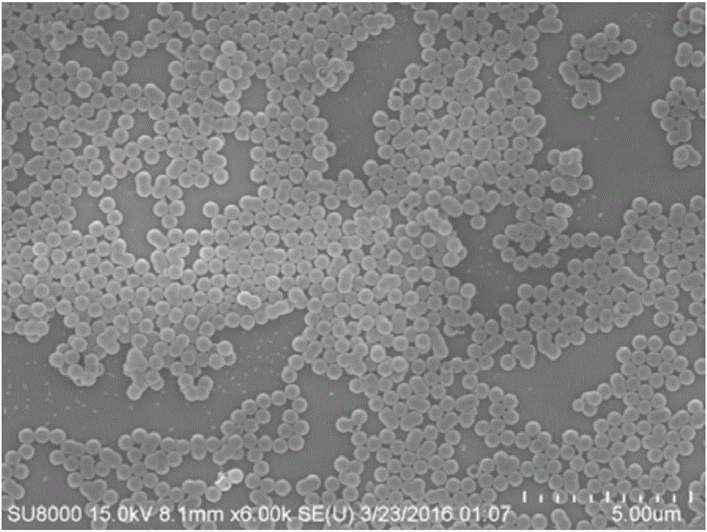 Preparation method of monodisperse hollow mesoporous silica nanoparticle