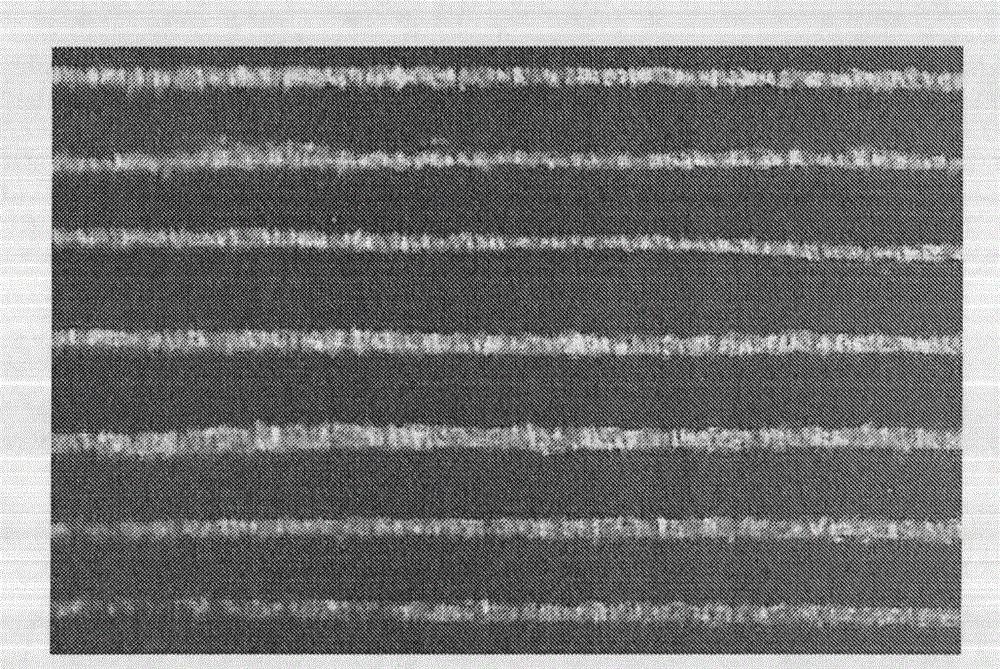 Al2O3 ceramic composite material with biomimetic structure and preparation method