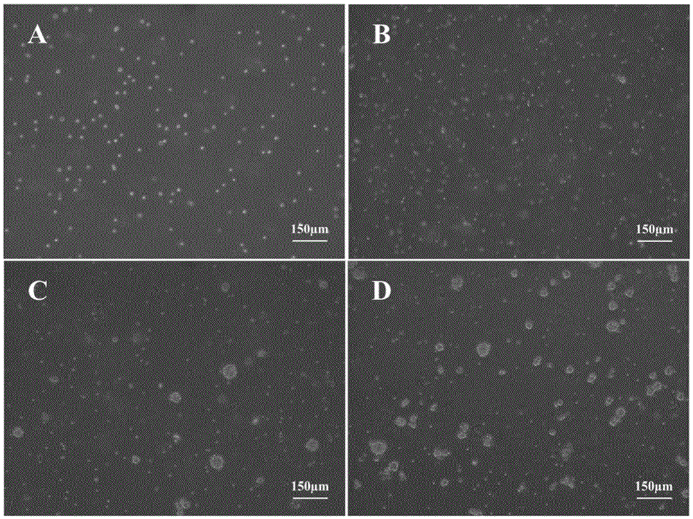 A kind of cryopreservation solution of neural stem cells and its application method