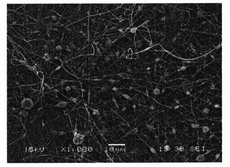 Poly-lactic acid fiber loading powder drug and preparation method thereof