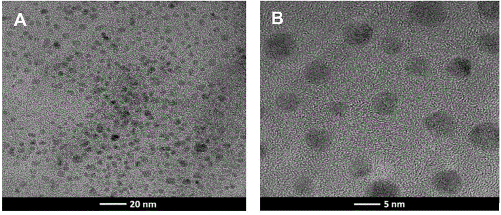 Fluorescent nanoprobes, and preparation method and applications thereof
