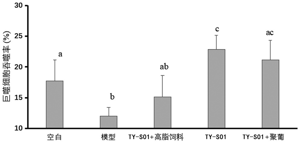 Dairy product capable of improving body immunity and preparation method thereof