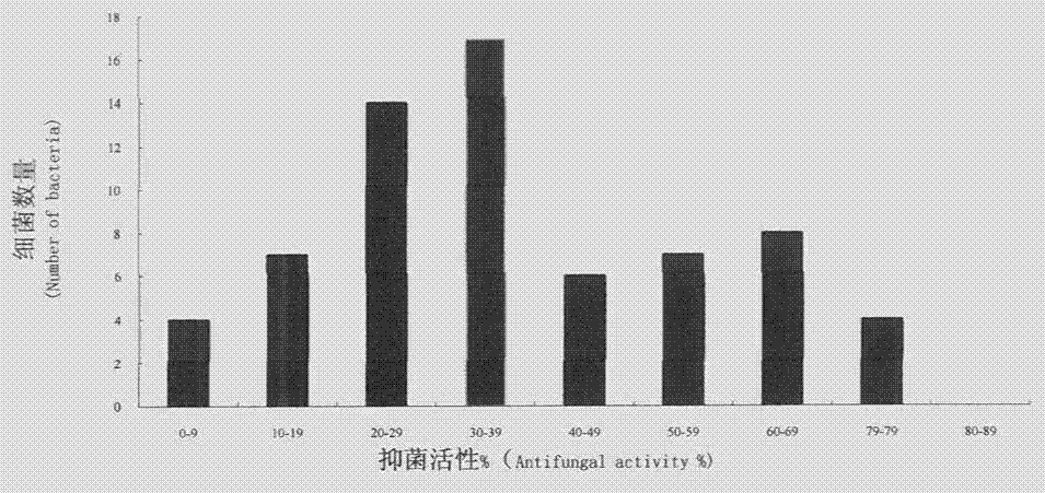 Pseudo-scent-like aroma bacteria and its preparation method and application