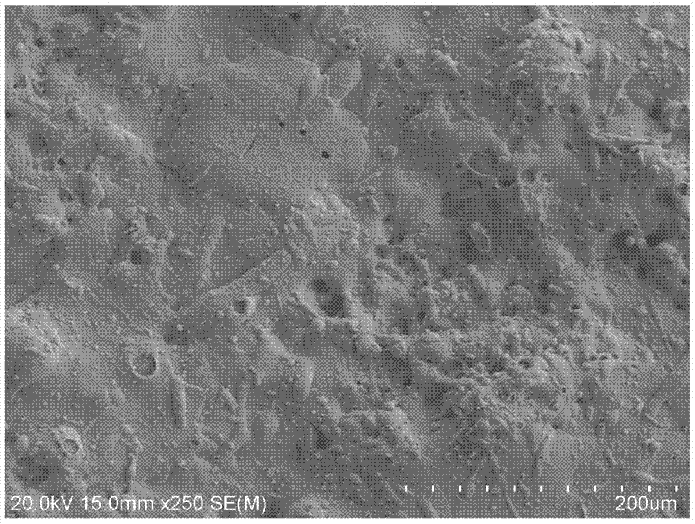 A kind of preparation method of perovskite structure ceramic coating