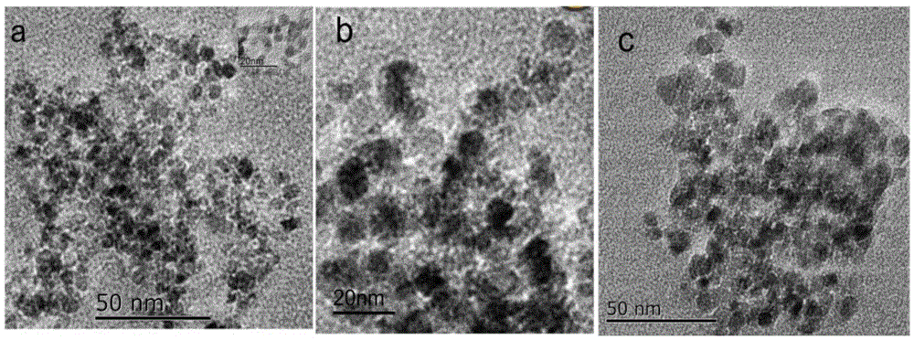Parachloronitrobenzene hydrogenation reduction catalyst capable of being magnetically recycled and preparation method