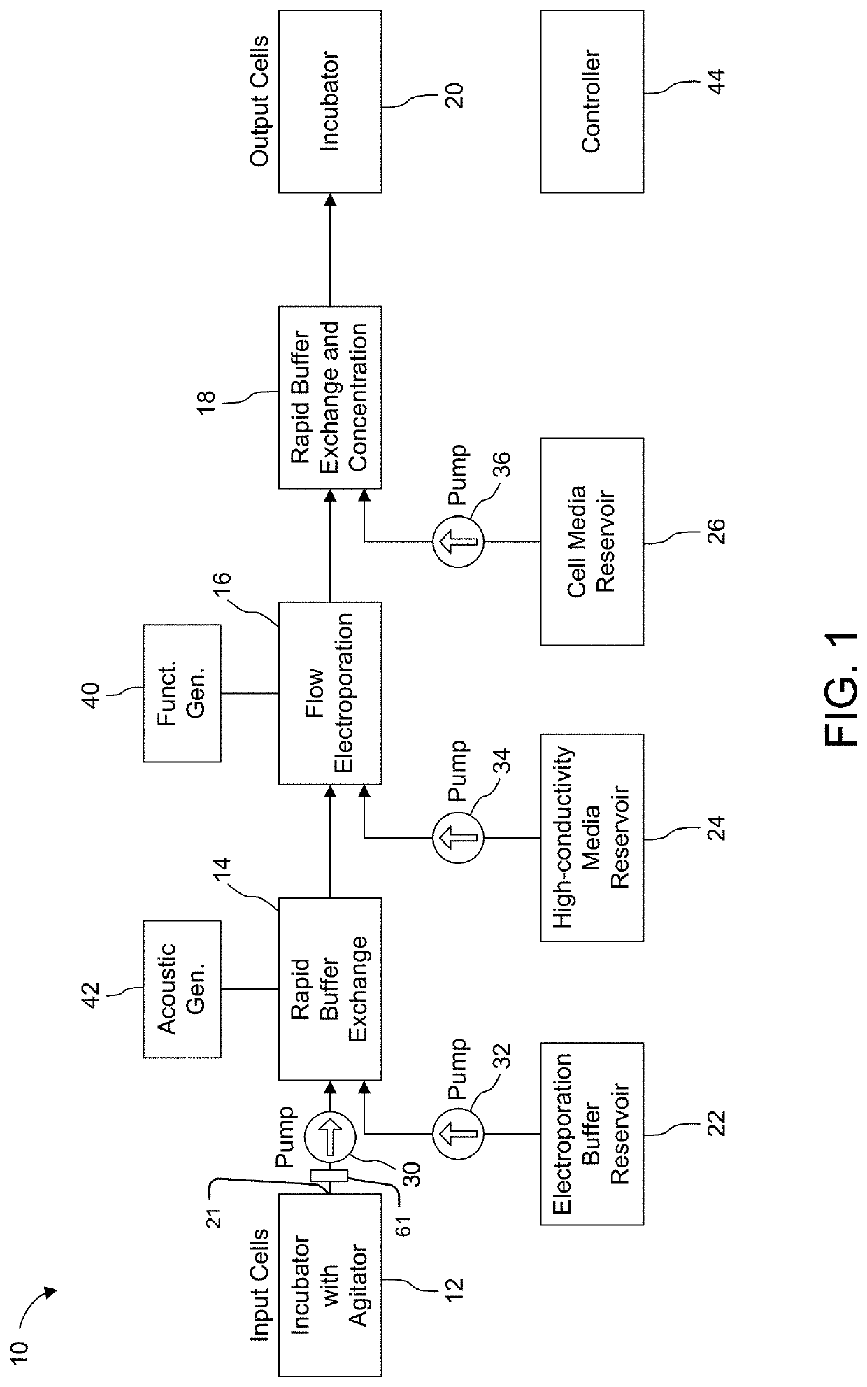 Method and Apparatus for High Throughput High Efficiency Transfection of Cells