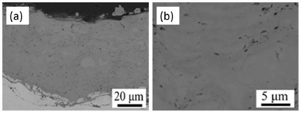 Preparation method of titanium nitride coating, base material and application