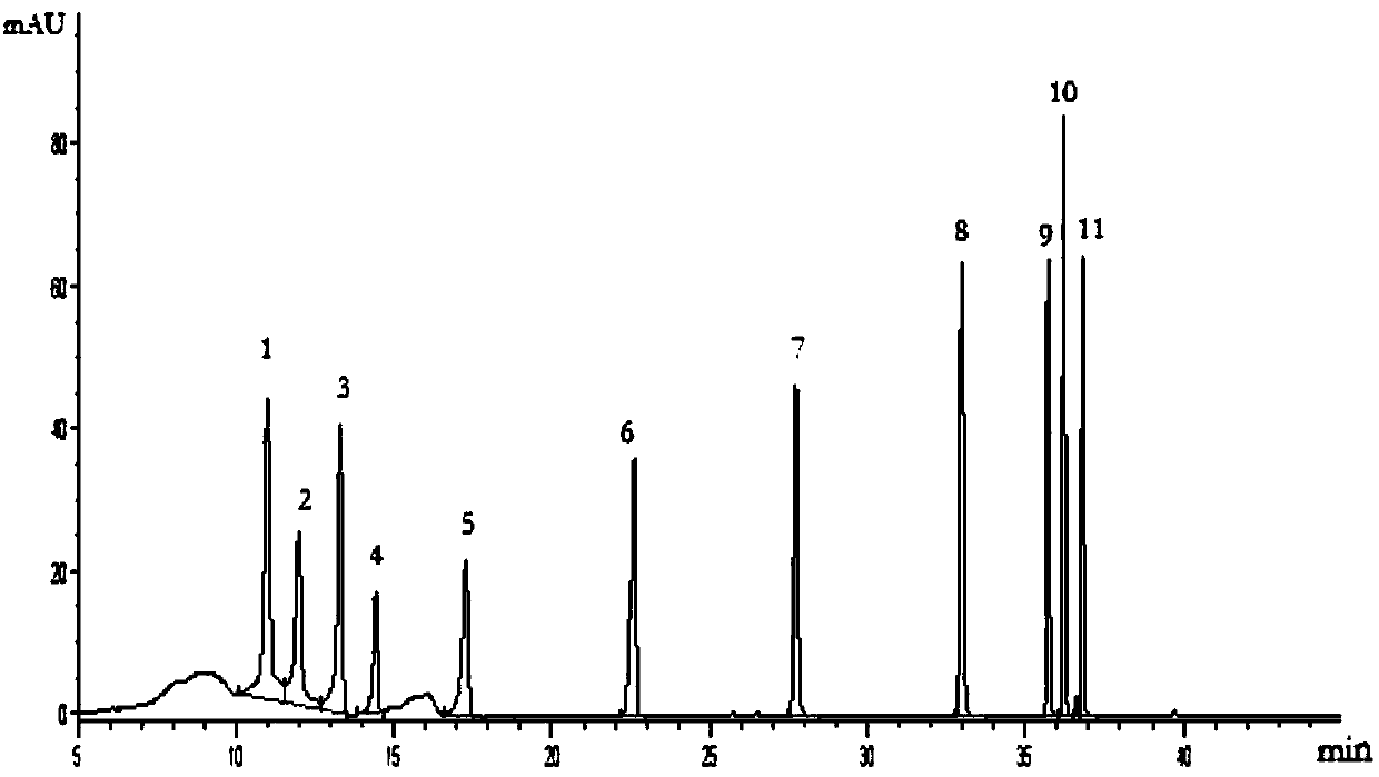 HPLC (High Performance Liquid Chromatography) detection method for simultaneously determining 11 kinds of flavonoids and method for detecting content of flavonoids in fruits