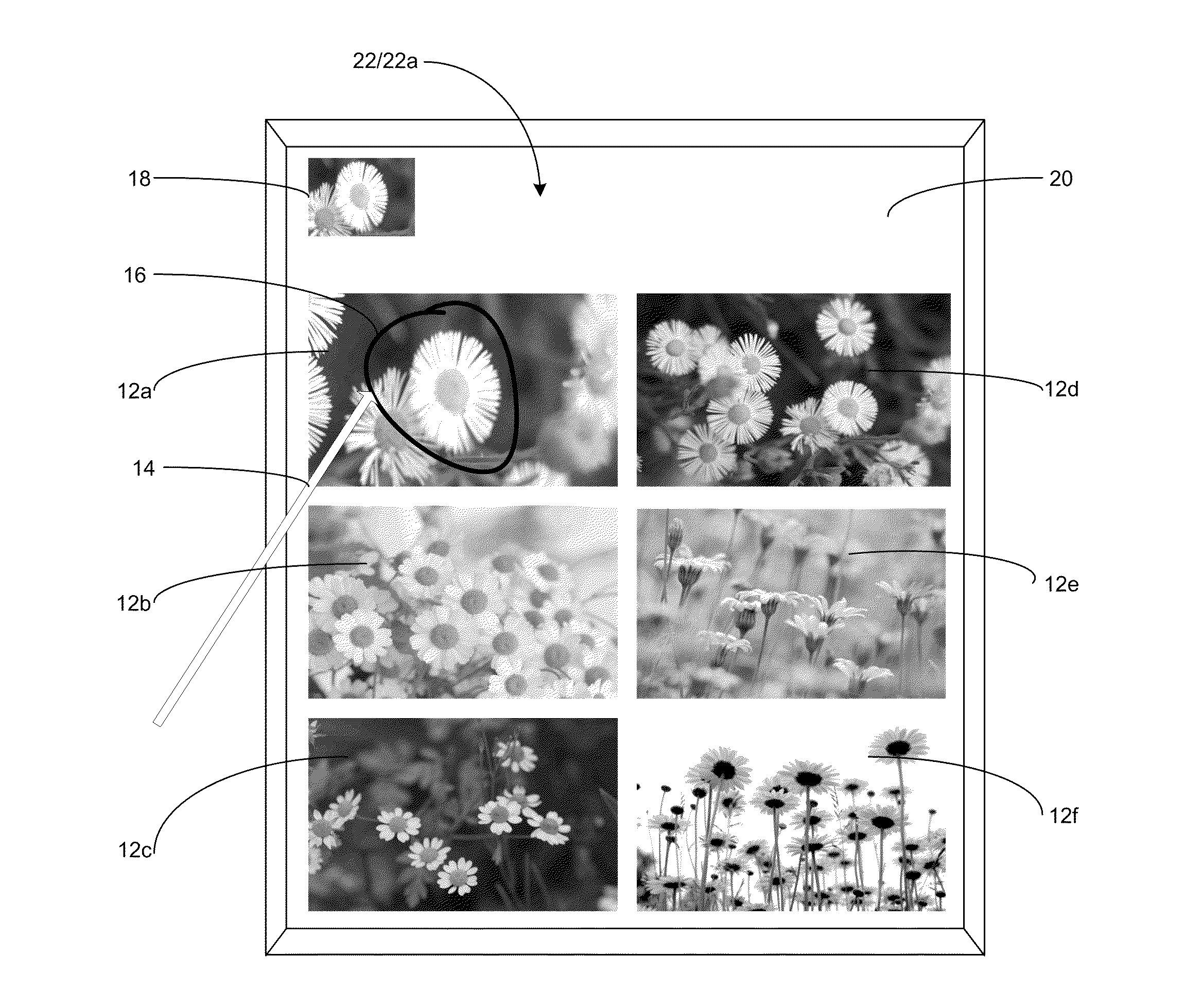 System and method for tagging multiple digital images