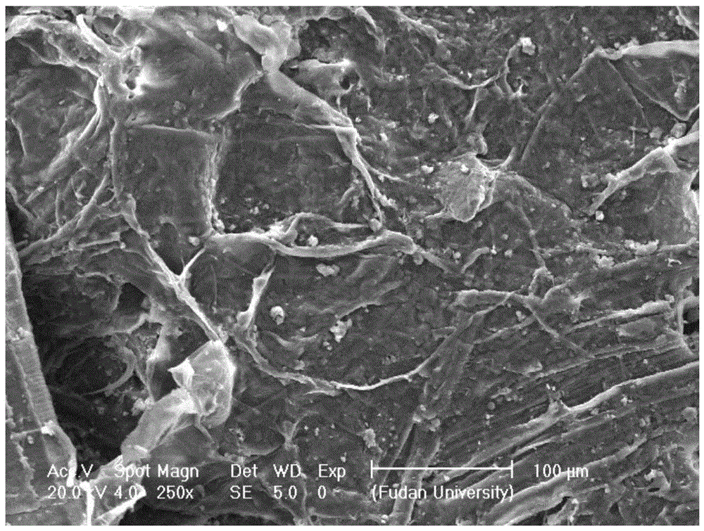 A kind of salt coating solution and its application in reconstituted tobacco leaves