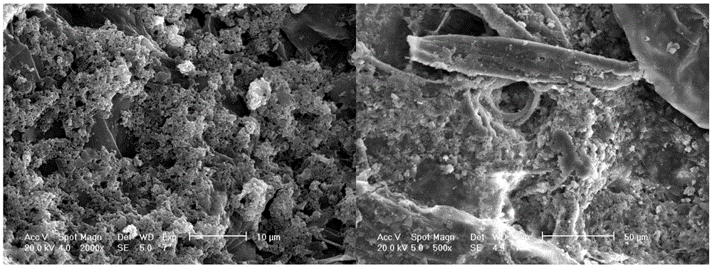 A kind of salt coating solution and its application in reconstituted tobacco leaves