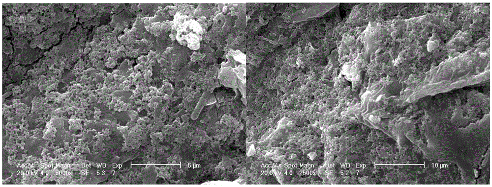 A kind of salt coating solution and its application in reconstituted tobacco leaves