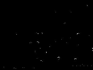 A kind of preparation method of polyhedral composite nano micelles