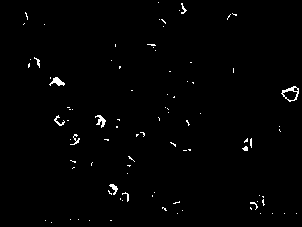 A kind of preparation method of polyhedral composite nano micelles