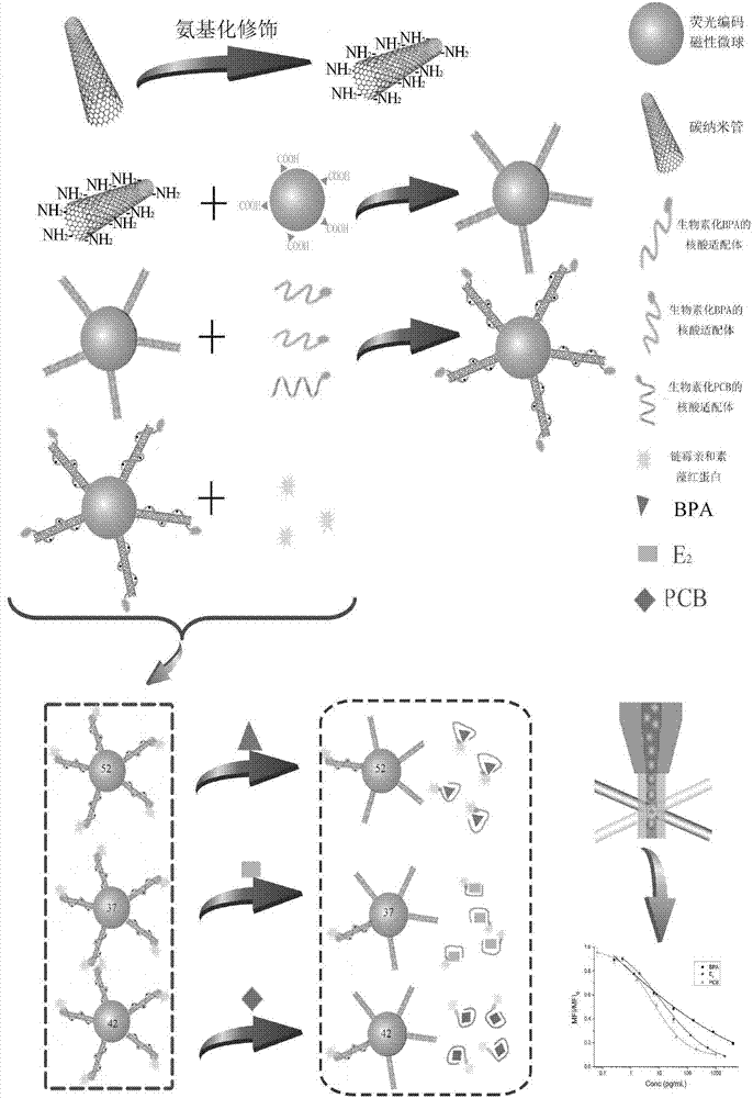 Nucleic acid aptamer-suspension chip magnetic detection microspheres based on single-walled carbon nano-tubes, preparation method and detection method thereof