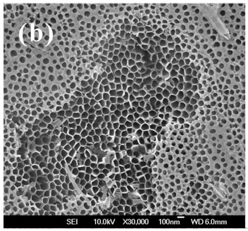 Method for preparing independent and ordered titanium oxide nano tube array film