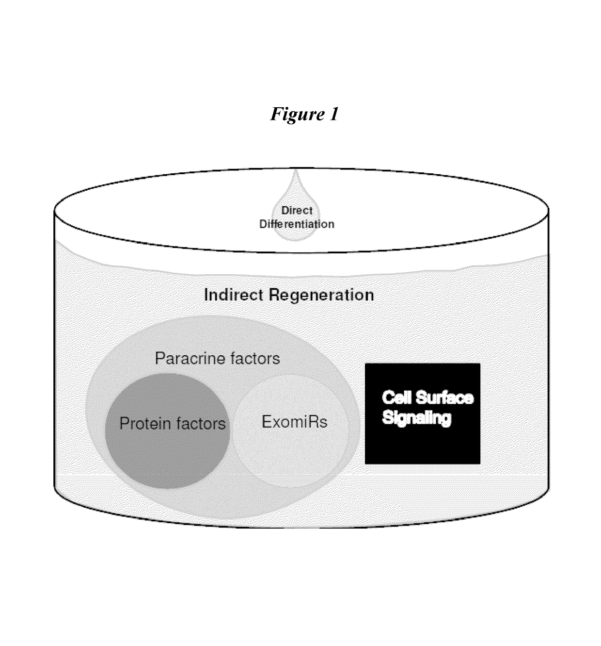 Exosomes and micro-ribonucleic acids for tissue regeneration