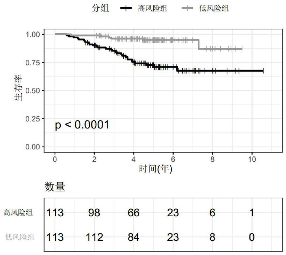 Biomarker for predicting survival time of patient with lung cancer and related product