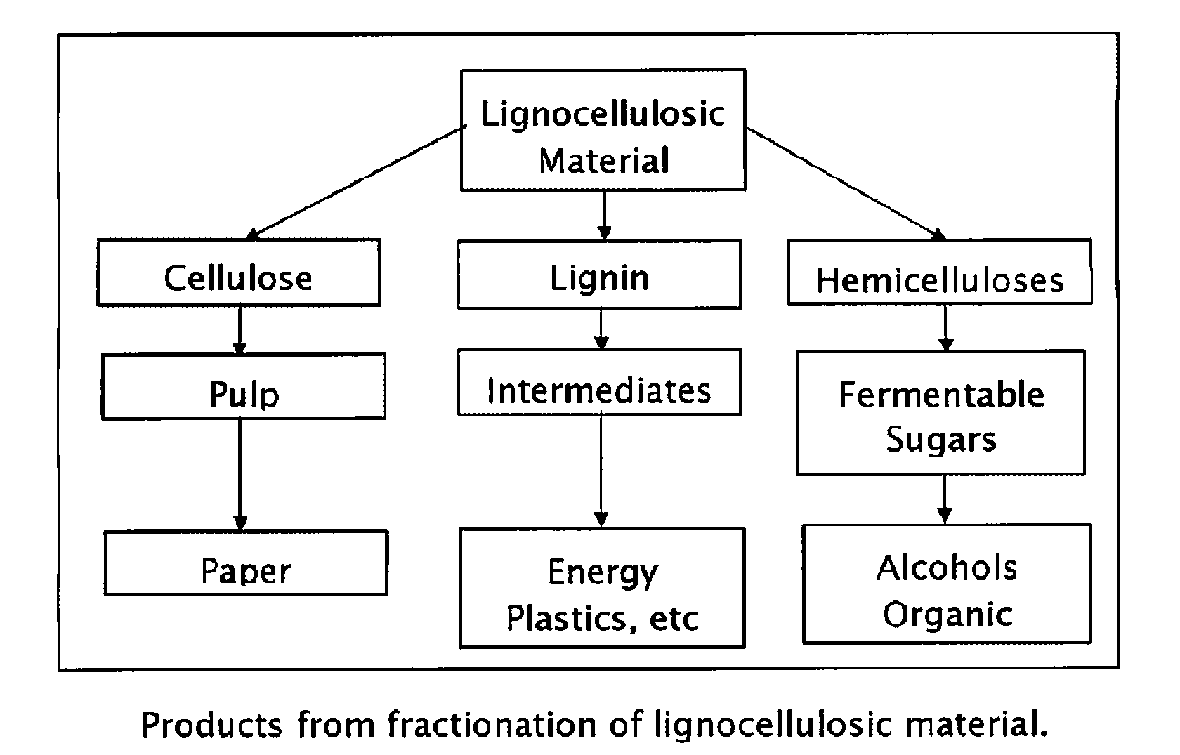 Method for the production of fermentable sugars and cellulose from lignocellulosic material