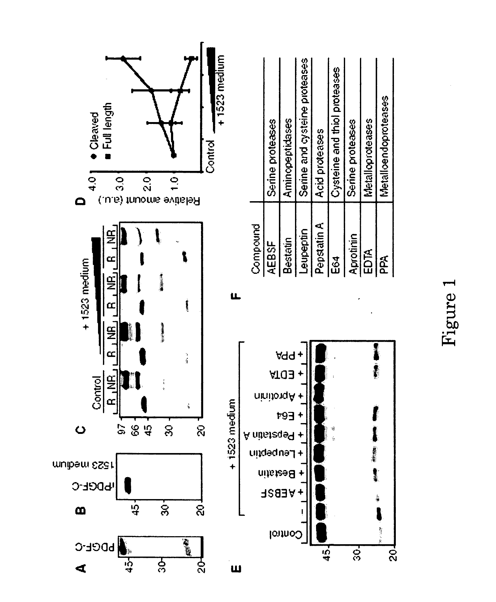 Methods and compositions for PDGF-C activation and inhibition