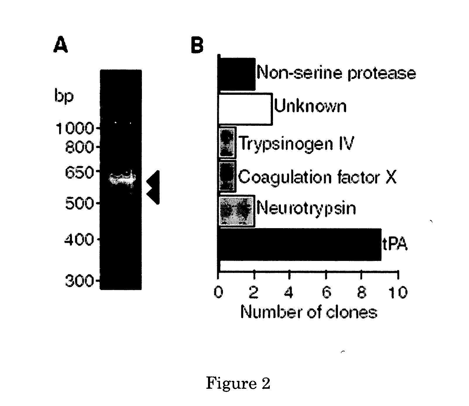 Methods and compositions for PDGF-C activation and inhibition