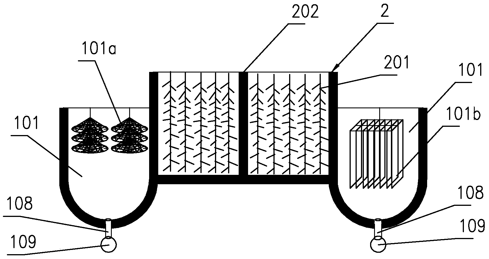 Intermediate aquaculture system for pinctada maxima