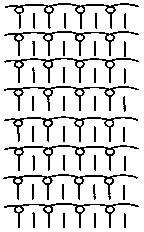 One-step-formed breast supporting underwear weaving method