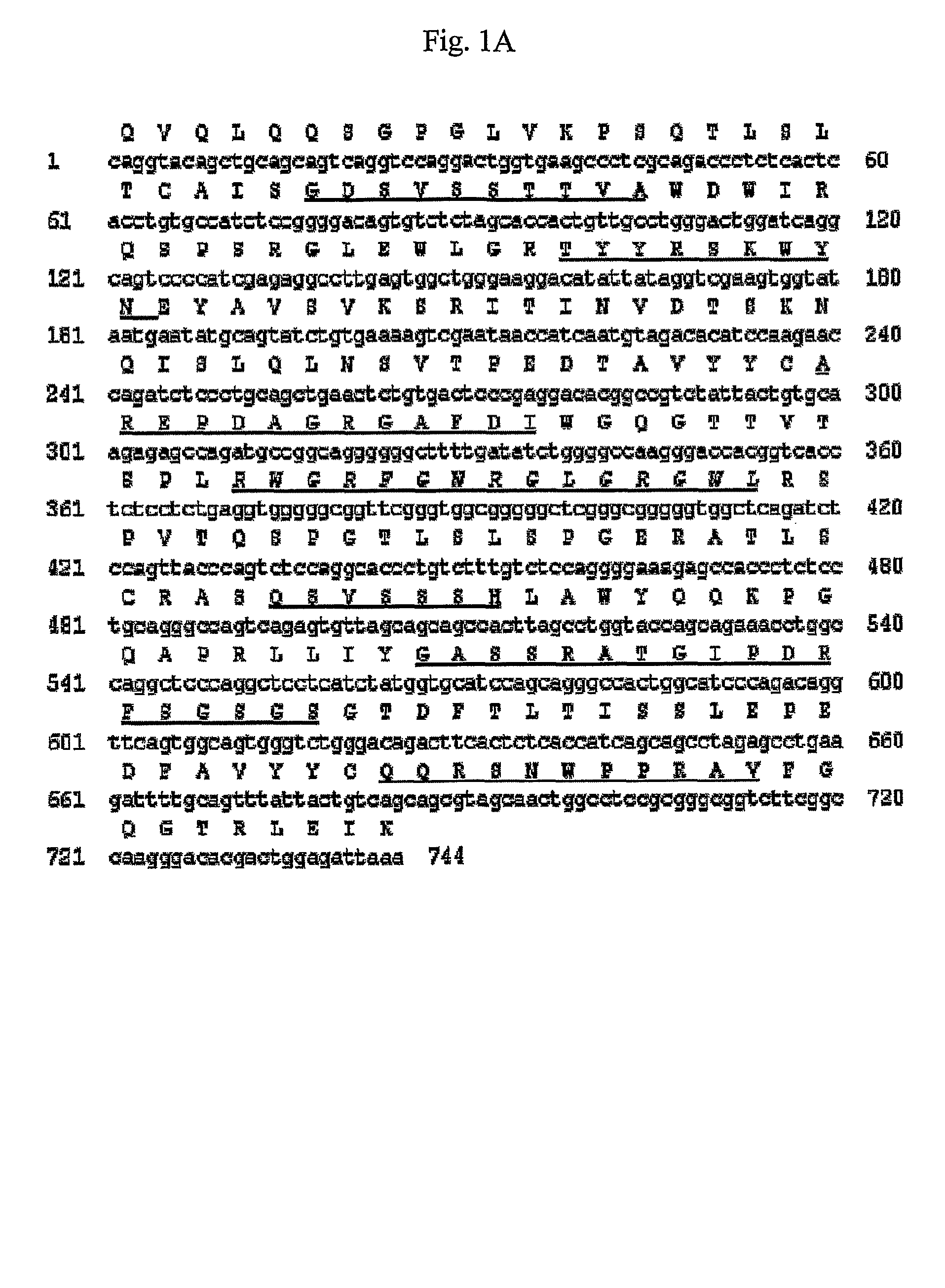 Antibody specifically binding to DR5 and composition for preventing or treating cancers comprising the same
