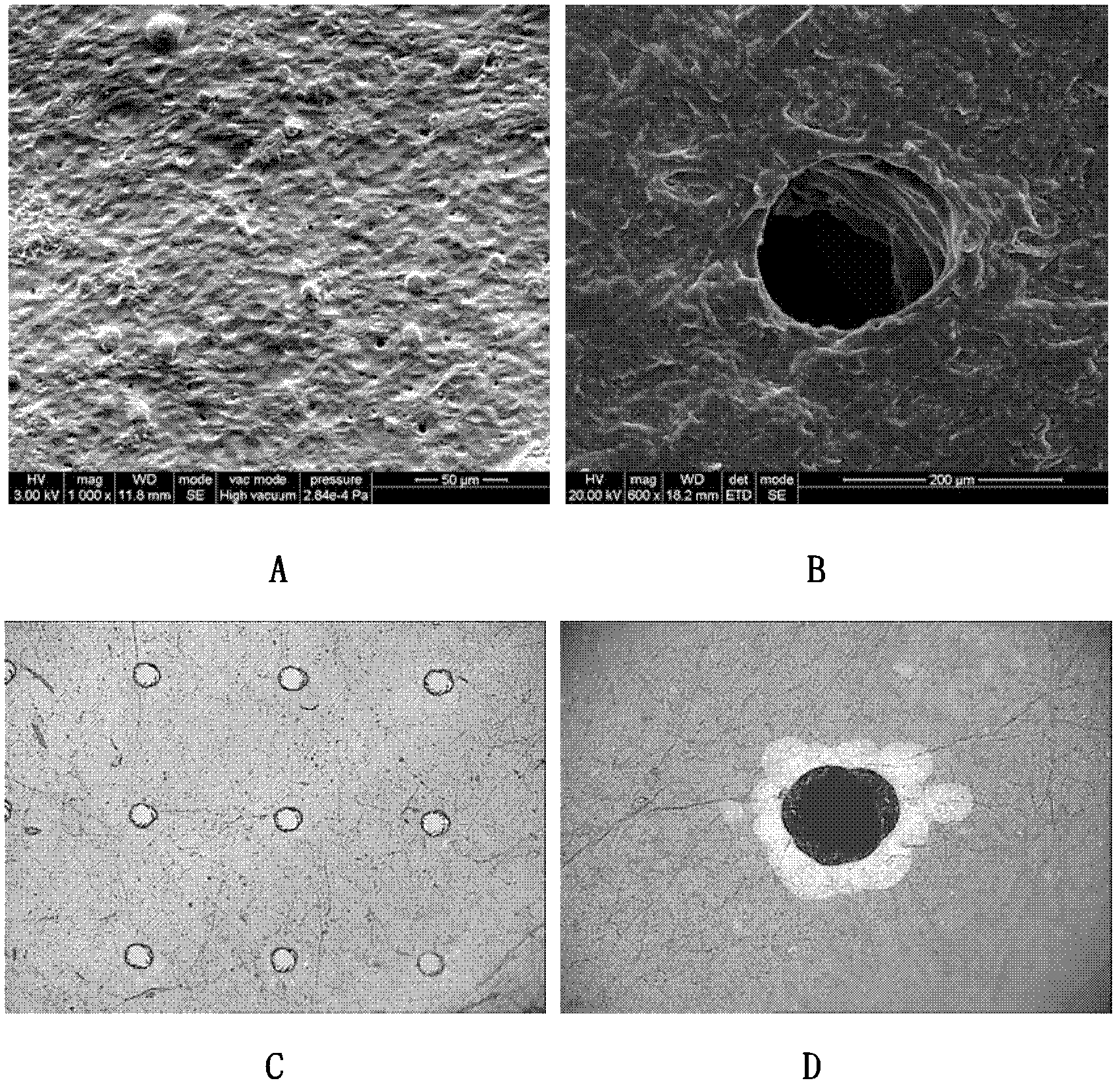 Composite membrane for promoting wound repair by simulating skin texture and preparation method thereof