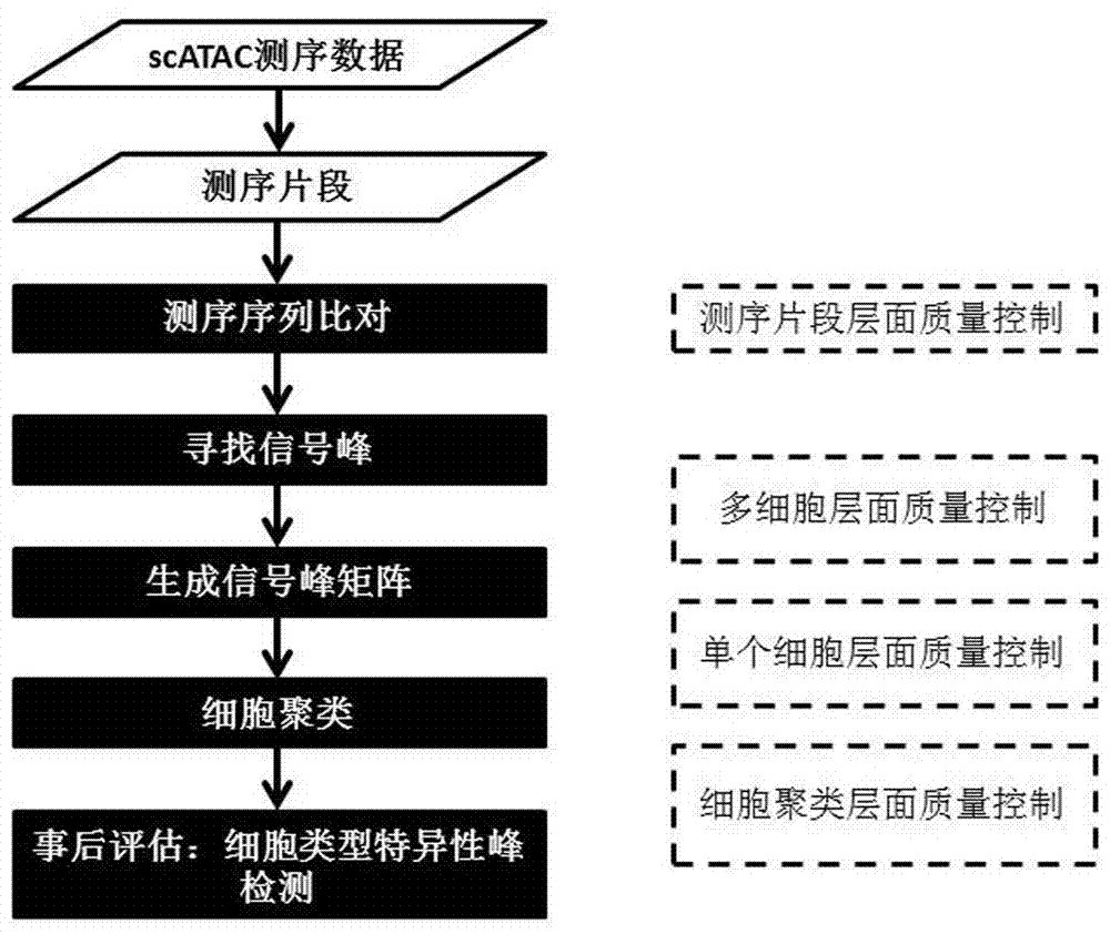 Large-batch unicellular ATAC-seq data quality controlling and analyzing method