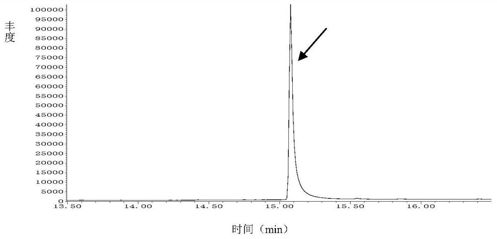 Method for detecting nanoscale plastic particles in animal biological sample