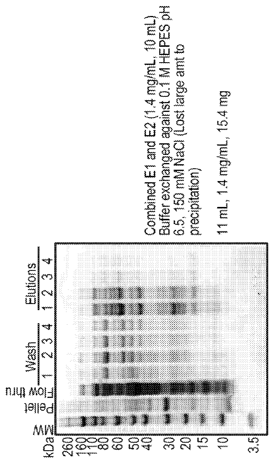 Charge-engineered antibodies or compositions of penetration-enhanced targeting proteins and methods of use