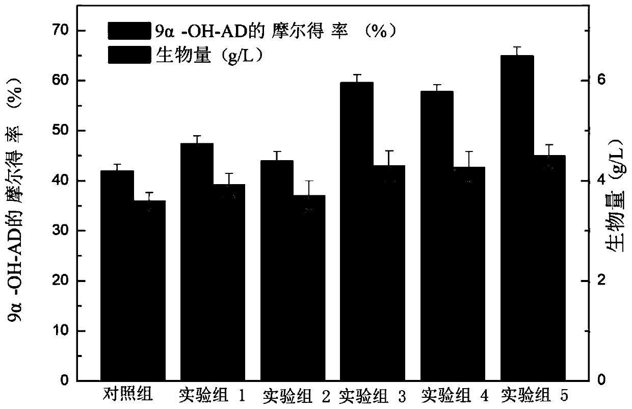 Construction method and application of mycobacteria genetic engineering bacteria