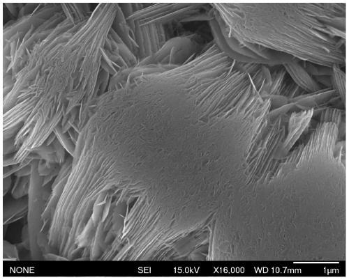 Method for preparing ultra-thin nano sheet Nh4V3O8 nano material under ultra-high pressure