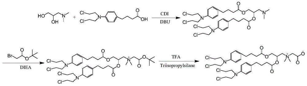 A drug betaine conjugate, its pharmaceutical composition and application