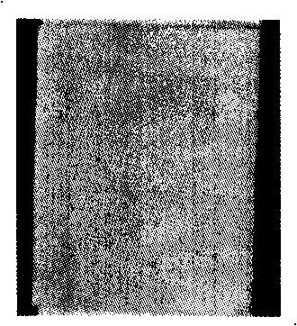 Method for finishing fastness silver salt antimicrobial fabric