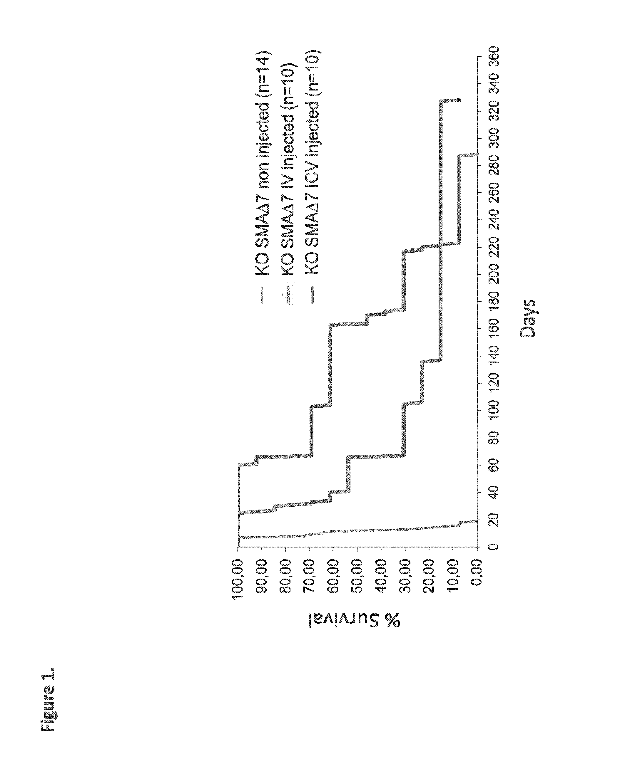 Widespread gene delivery of gene therapy vectors