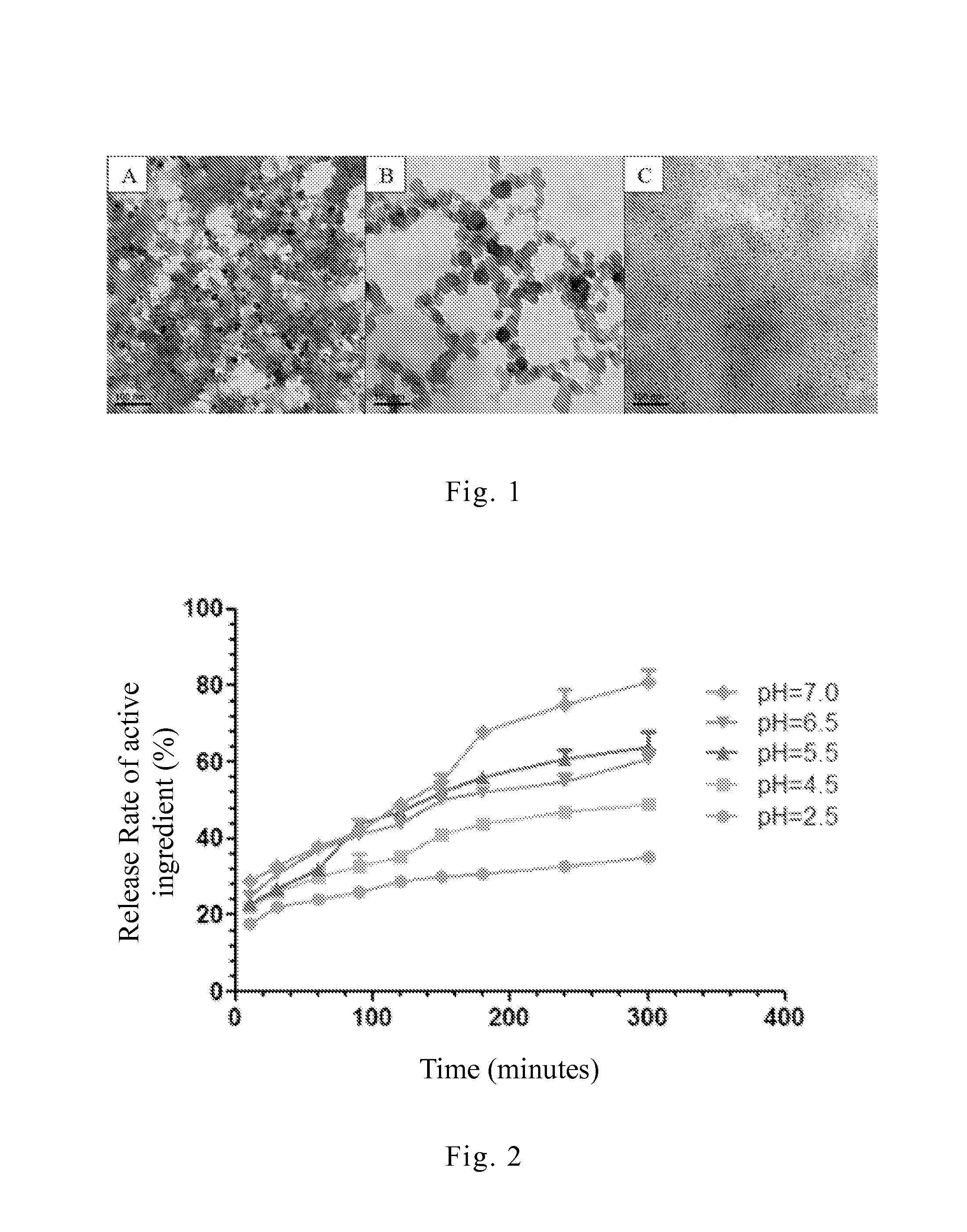 Pharmaceutical Carrier and Drug Structure Using the Same