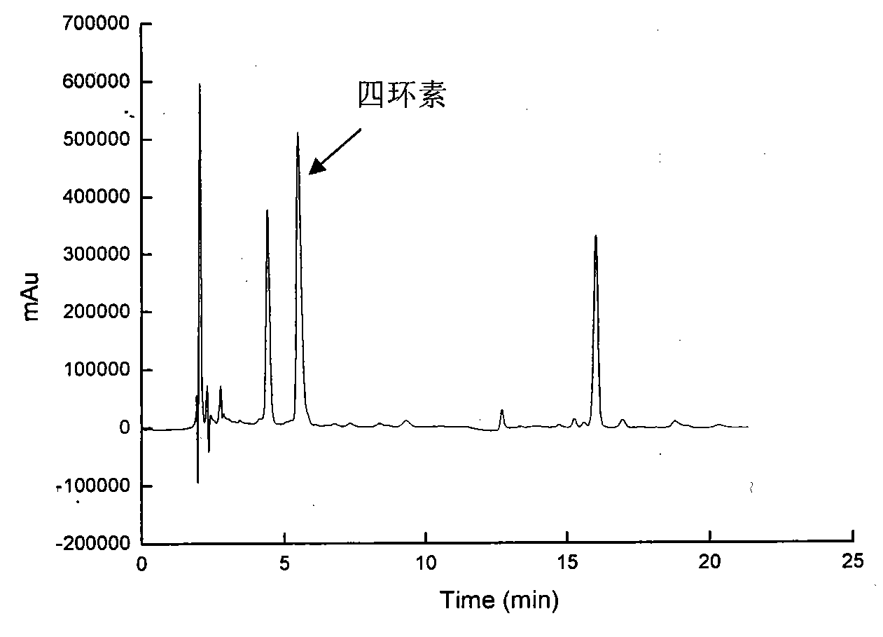 Method for producing yeast extract by use of bacterial residues after tetracycline degradation
