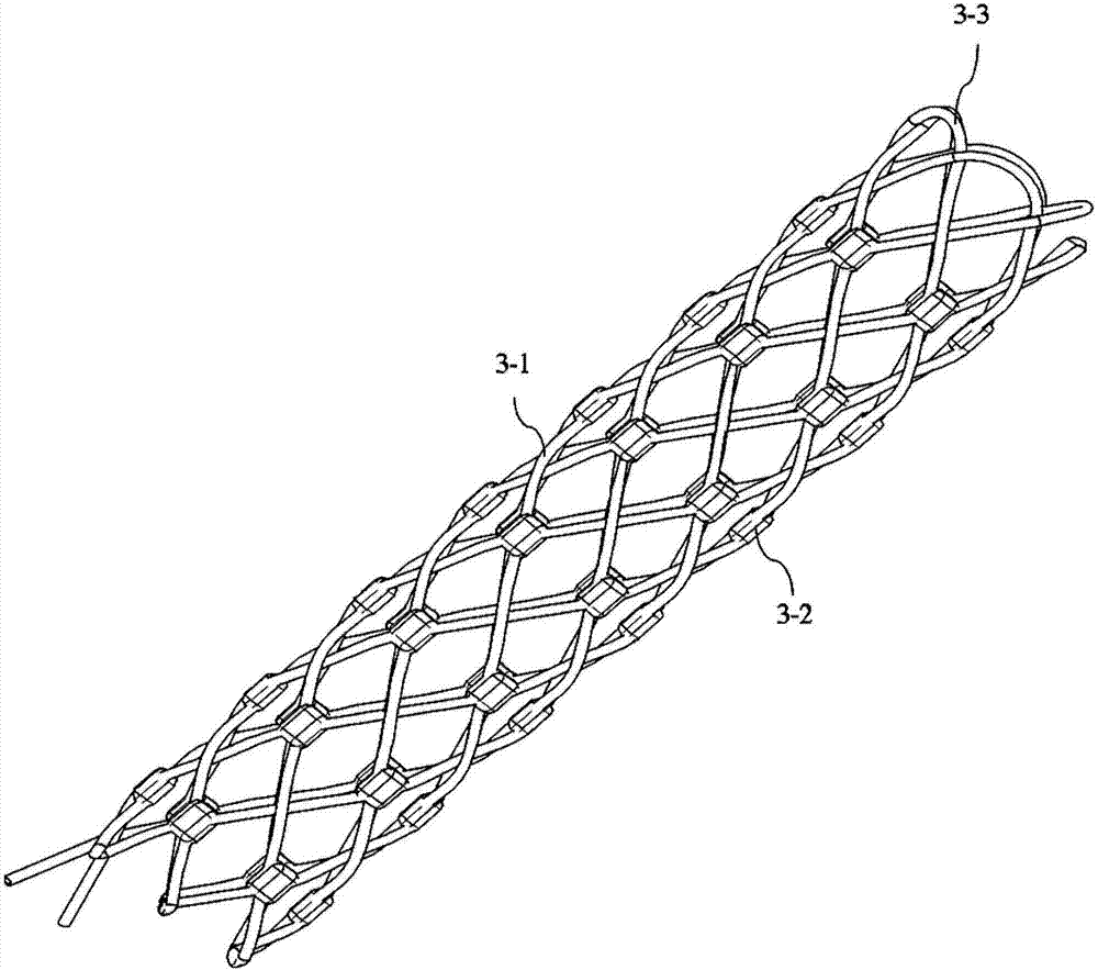 Expandable variable rigidity snake-shaped carrier for natural orifice surgery and application method thereof