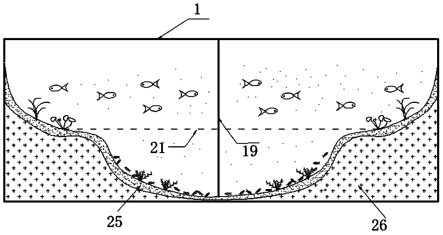 Early warning device and method for identifying sudden water pollution based on biotic population module