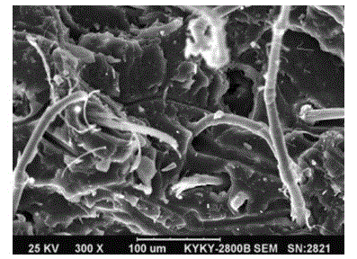 Surface modification method of aramid, and reinforced natural rubber material and preparation method thereof