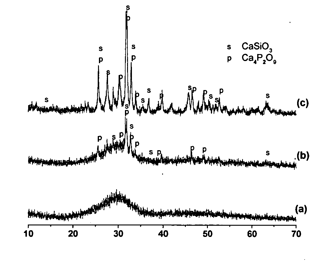 Resorbable macroporous bioactive glass scaffold and method of manufacture