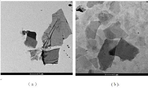 A kind of graphene/polysiloxane composite coating material and preparation method thereof