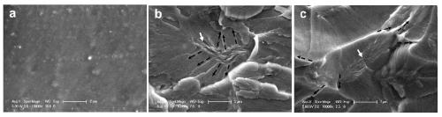 A kind of graphene/polysiloxane composite coating material and preparation method thereof