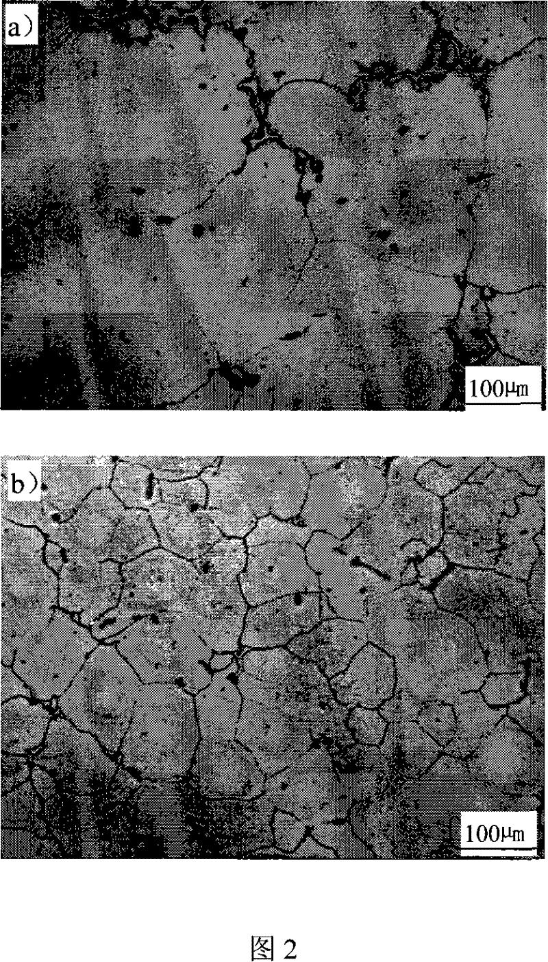 Thinning processing method for magnesium alloy fused mass and apparatus