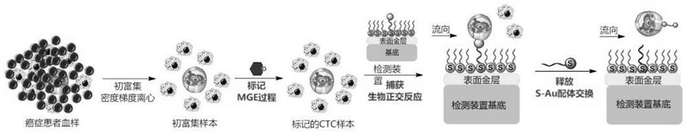 Circulating tumor cell detection method