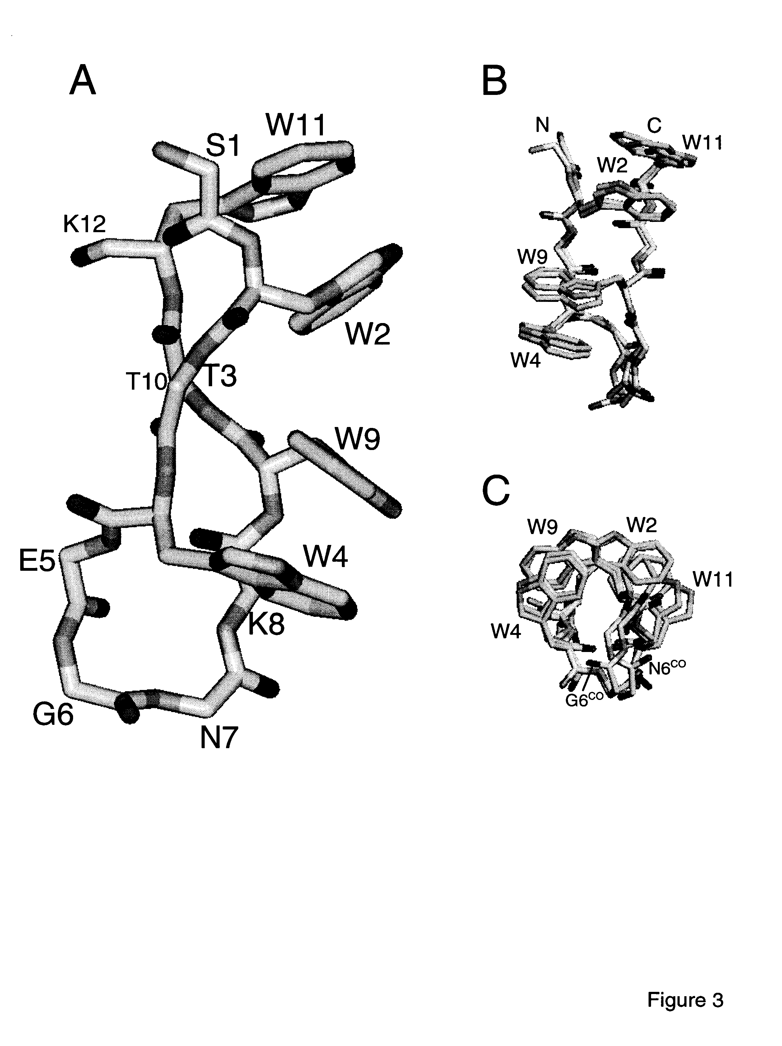 Hairpin peptides with a novel structural motif and methods relating thereto
