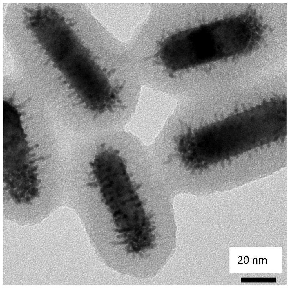 Preparation method of nanogold-platinum composite material in mesoporous silica