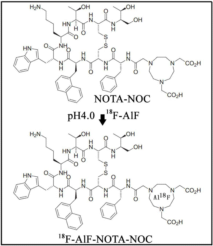 Synthesis method of &lt;18&gt;F-labeled amino acid polypeptide drugs and kit